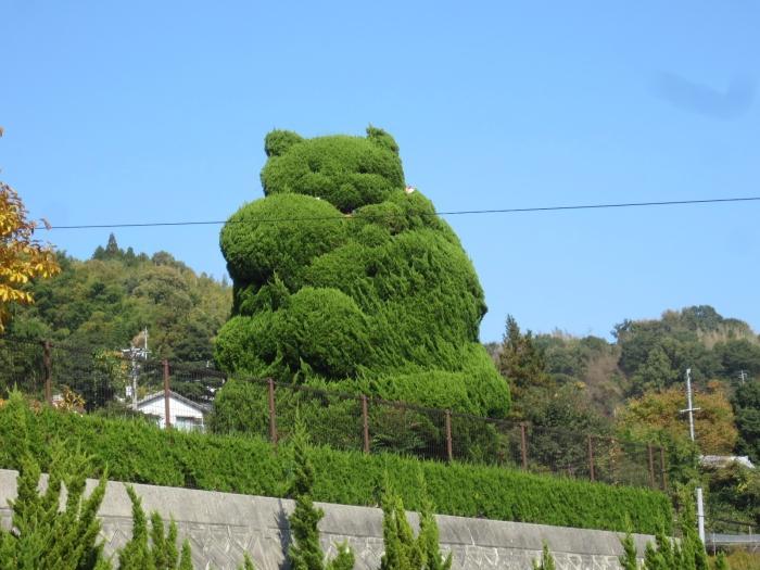 招き猫型の木がありました！！